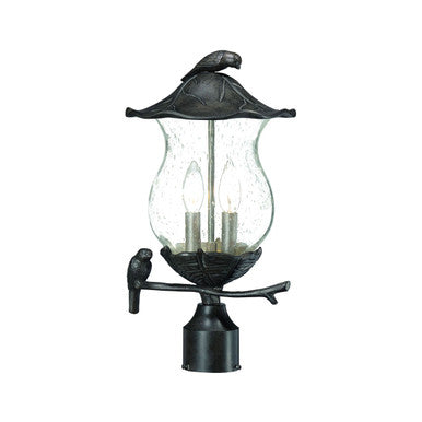 Acclaim Lighting Avian 2-Light Black Coral Post Mount Light With Seeded Glass in Black Coral 7567BC/SD