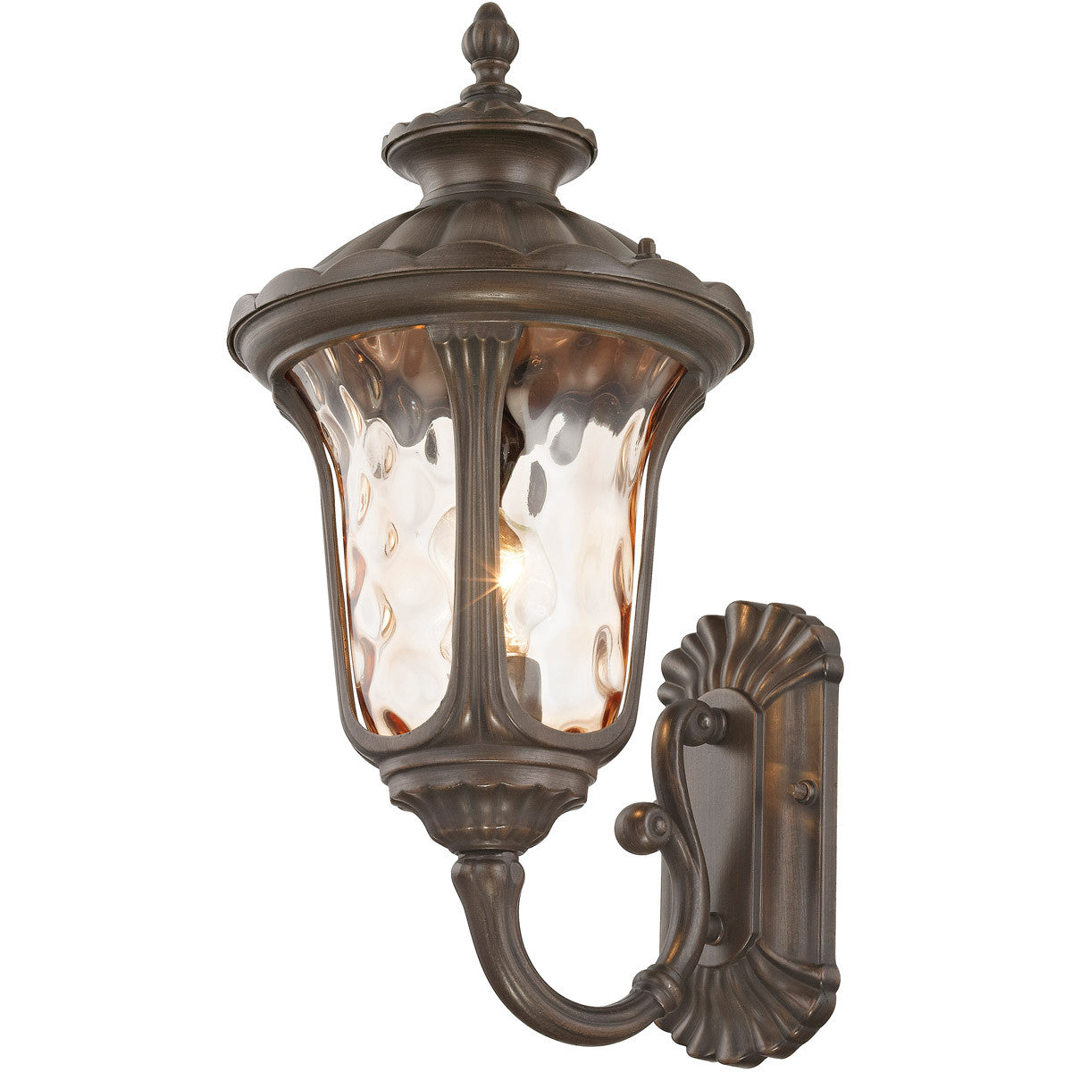 Livex Lighting Oxford Collection 1 Light IB Outdoor Wall Lantern in Imperial Bronze 7652-58