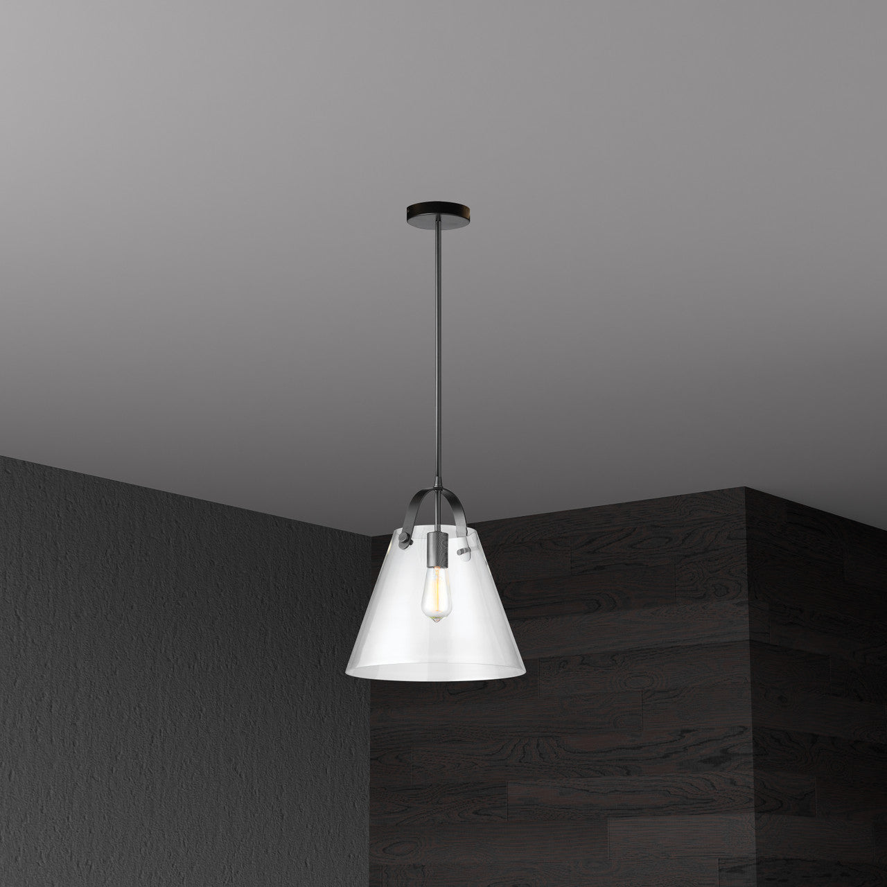 Dainolite 1 Light Incandescent Pendant Matte Black Finish with Clear Glass 871P-BK