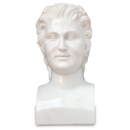 Currey & Co. Hector Marble Bust Sculpture 1200-0665