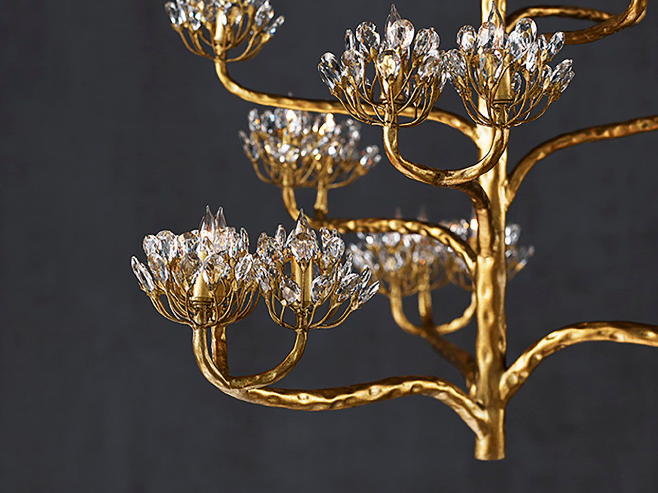 Currey & Co. Agave Americana Gold Chandelier 9000-0157