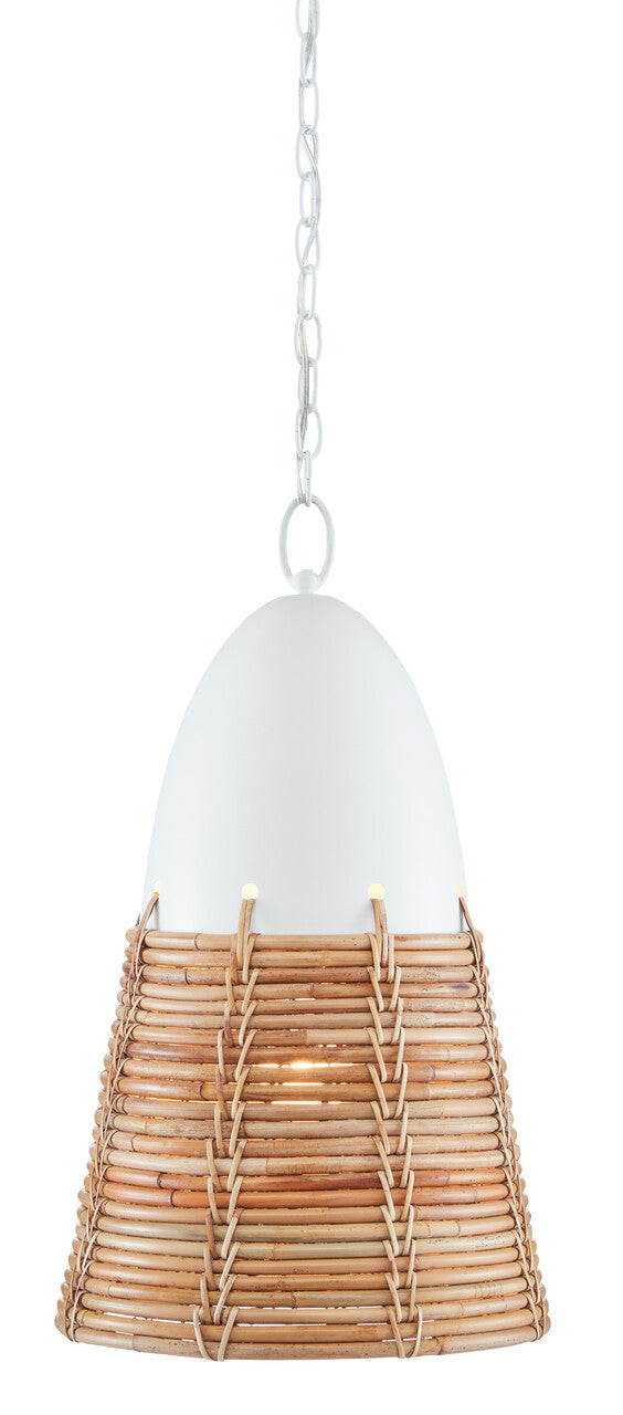 Currey & Co. Arundo Pendant 9000-0840