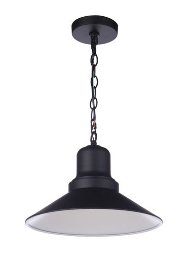 Craftmade Singleton 1 Light 14" Outdoor Pendant, Damp in Midnight ZA5411-MN