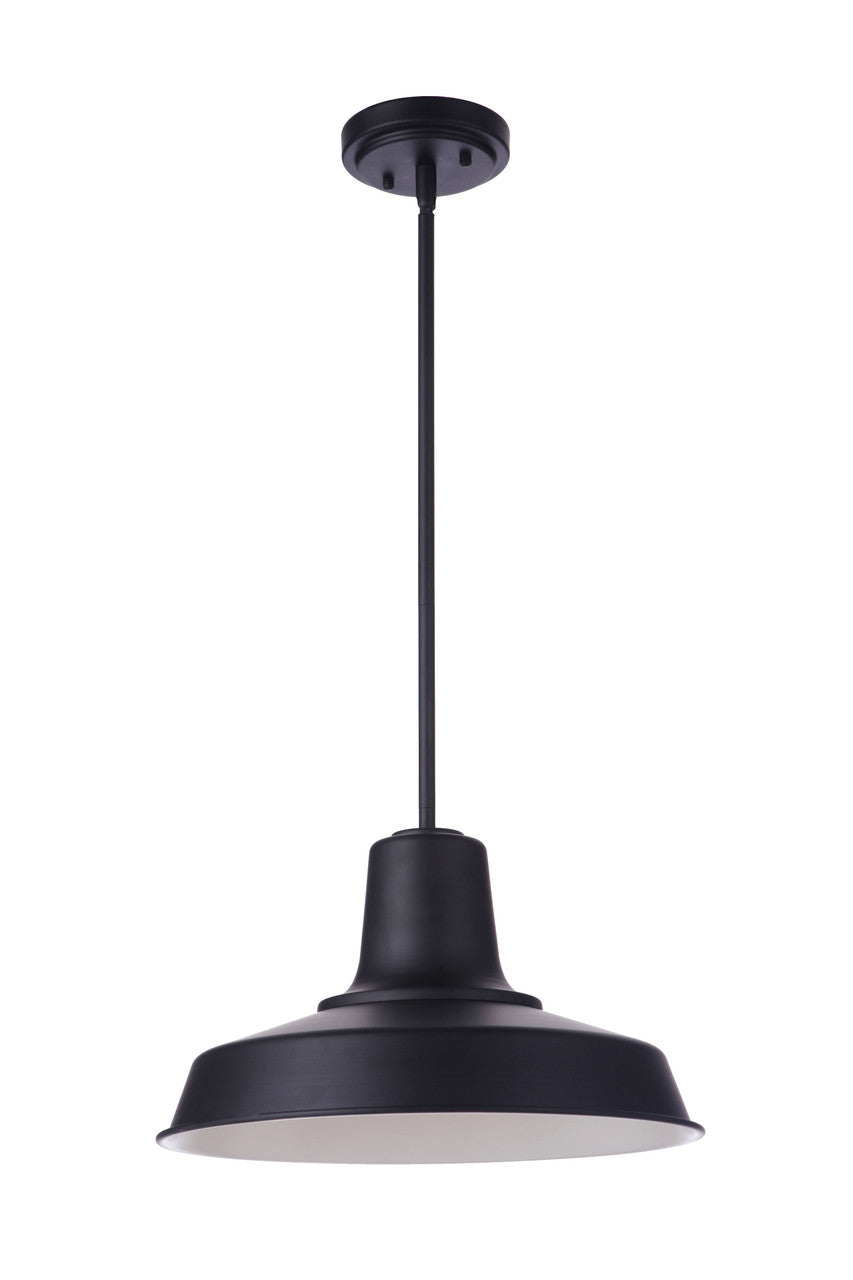 Craftmade Briscoe  Outdoor Pendant 1 Light in Midnight ZA5701-MN