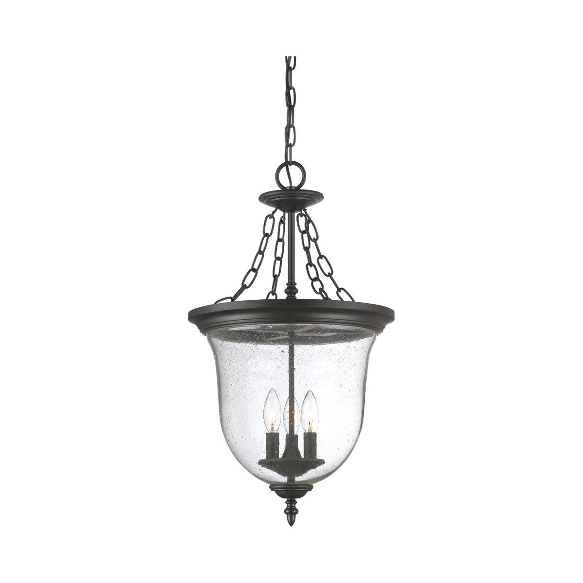 Acclaim Lighting Belle 3-Light Matte black Hanging light in Matte Black 9316BK