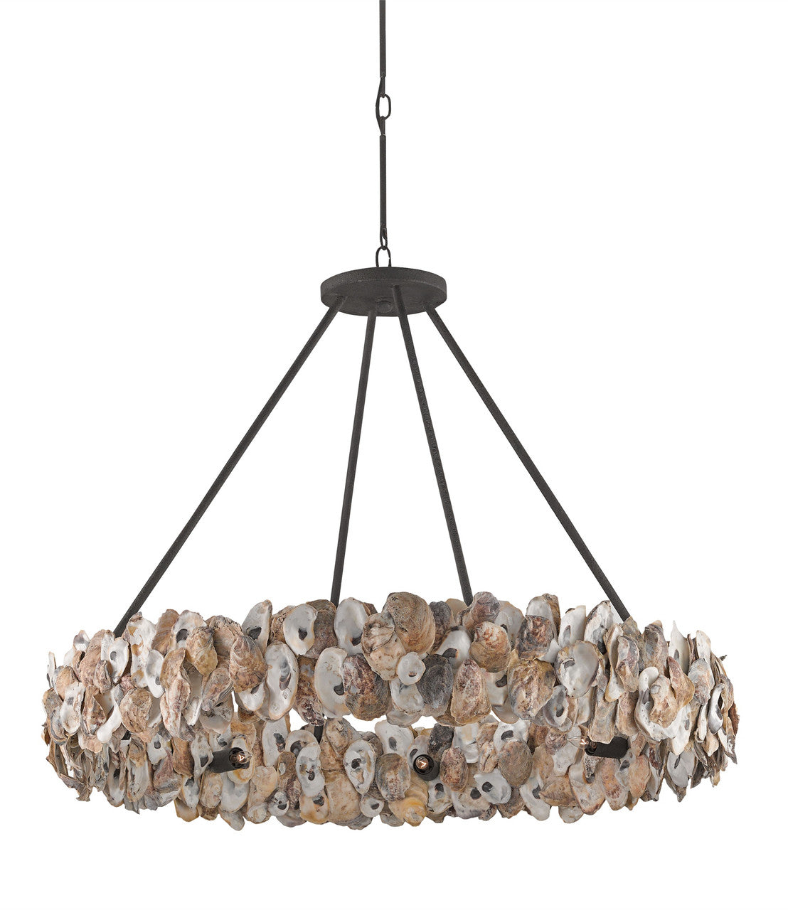 Currey & Co. Oyster Shell Chandelier 9672