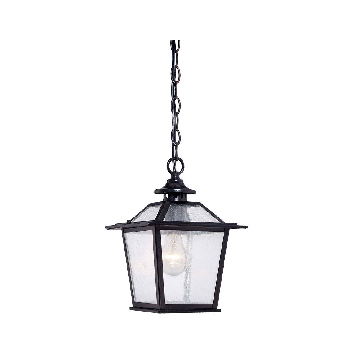 Acclaim Lighting Salem 1-Light Matte Black Hanging Light in Matte Black 9706BK