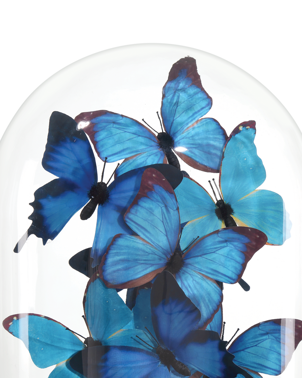 Currey & Co. Rue de Bac Medium Butterflies 1200-0896