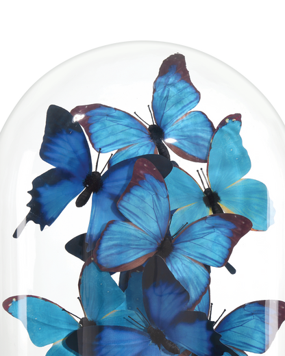 Currey & Co. Rue de Bac Medium Butterflies 1200-0896