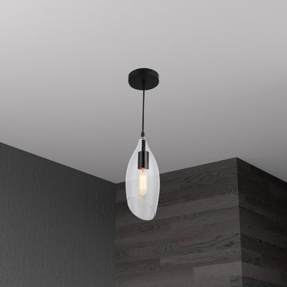 Dainolite 1 Light Incandescent Pendant, Black Finish with Clear Glass ABB-61P-CL