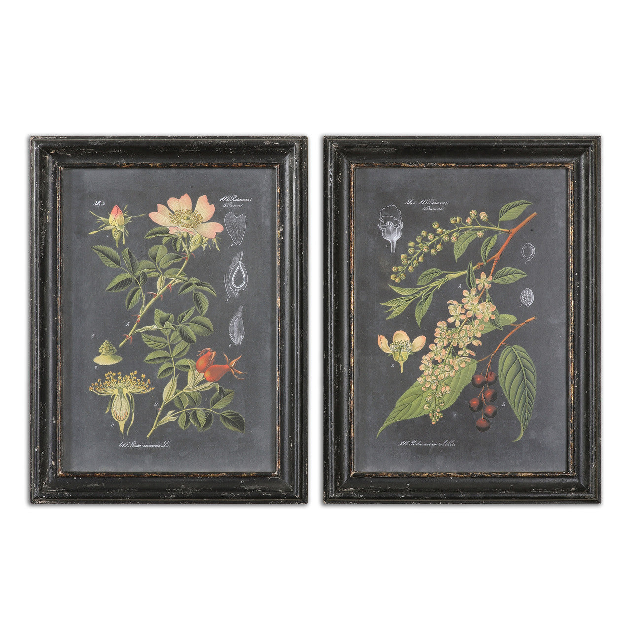 Uttermost Midnight Botanicals Wall Art S/2 56053