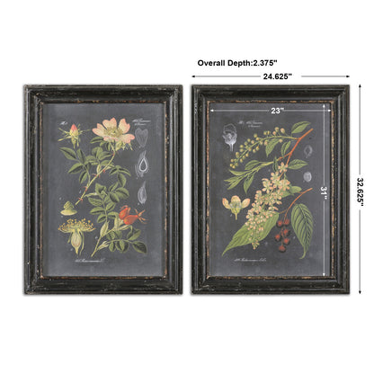 Uttermost Midnight Botanicals Wall Art S/2 56053