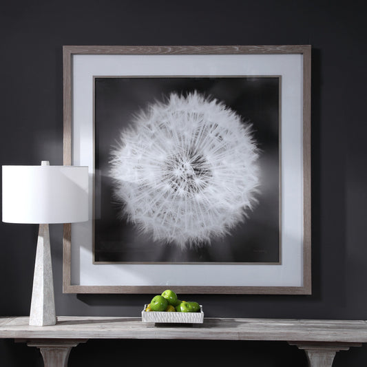 Uttermost Dandelion Seedhead Framed Print 33711