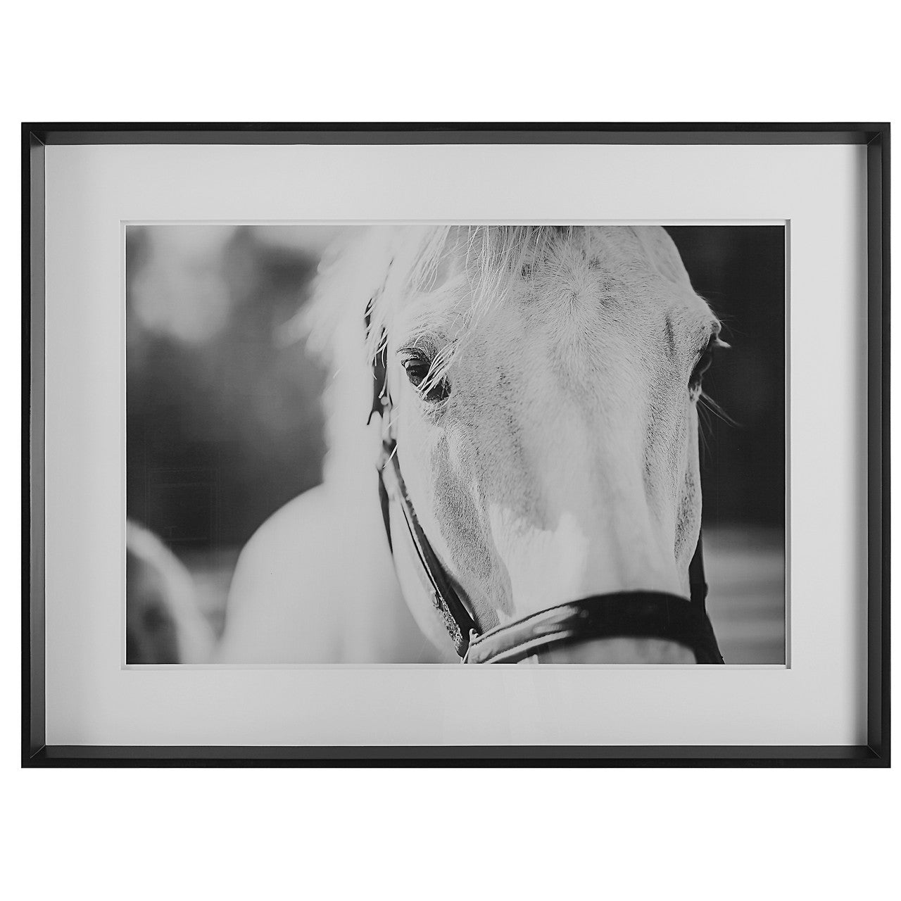 Uttermost Eyes On The Prize Framed Print 41464