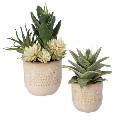 Uttermost Seaside Succulents, Set/2 60208