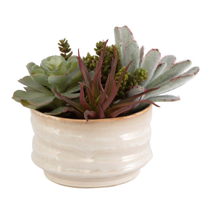 Uttermost Mesa Succulent Accent 60209