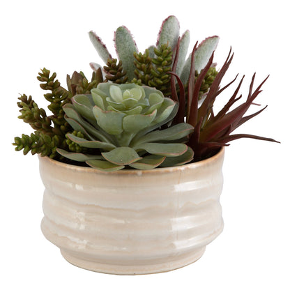 Uttermost Mesa Succulent Accent 60209