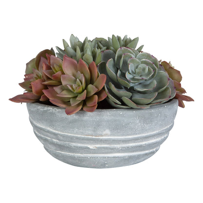 Uttermost Peoria Succulent Accent 60212