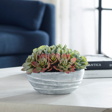 Uttermost Peoria Succulent Accent 60212