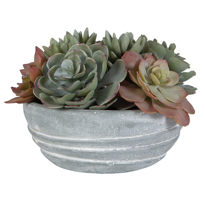 Uttermost Peoria Succulent Accent 60212