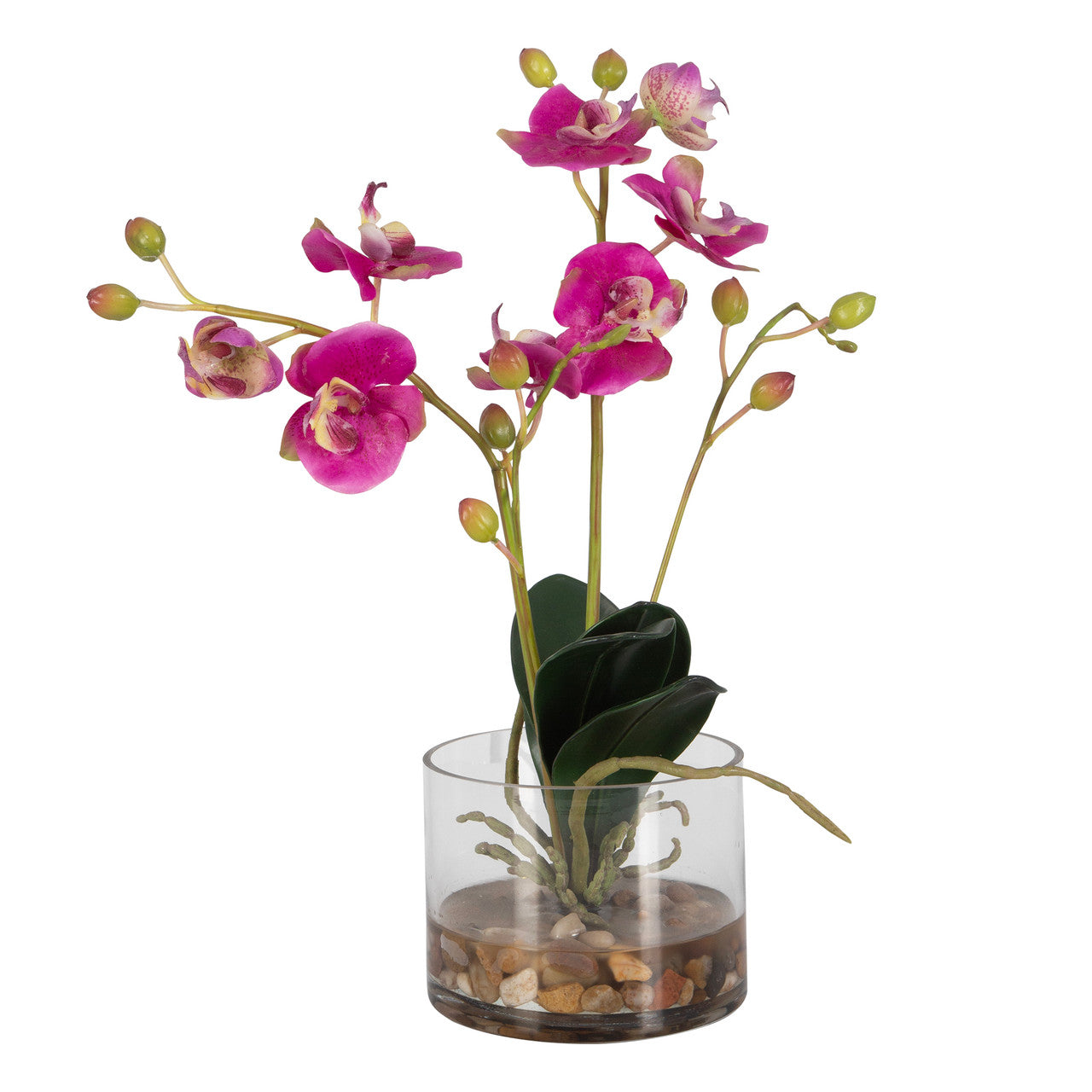 Uttermost Glory Fuchsia Orchid 60220