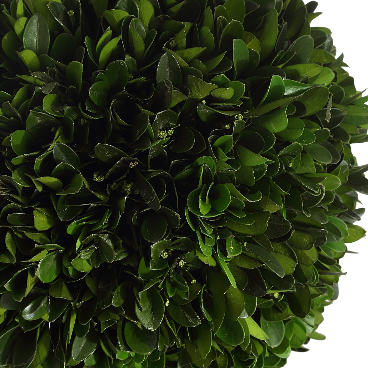 Uttermost Preserved Boxwood Triple Topiary 60223