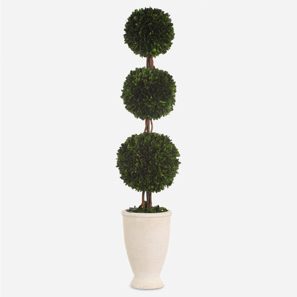 Uttermost Preserved Boxwood Triple Topiary 60223