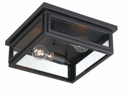 Crystorama Byron 2 Light Matte Black Outdoor Ceiling Mount BYR-80100-MK