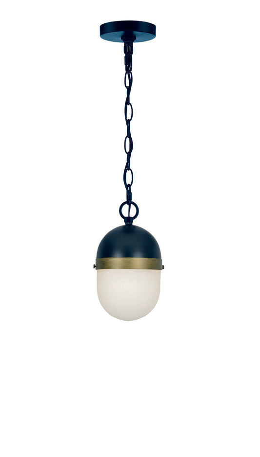 Crystorama Brian Patrick Flynn for Crystorama Capsule 1 Light Matte Black + Textured Gold Outdoor Pendant CAP-8505-MK-TG