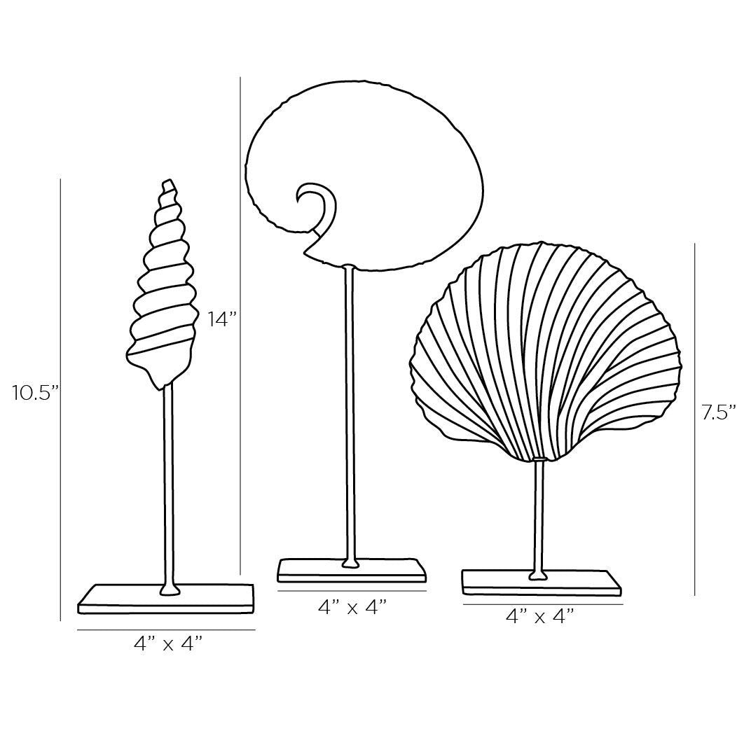 Arteriors Home Shell Sculptures, Set of 3 DC9000