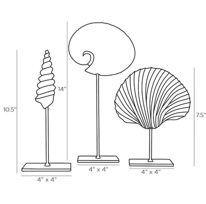 Arteriors Home Shell Sculptures, Set of 3 DC9000