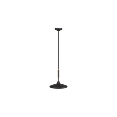 Arteriors Home Bryson Pendant DPC11