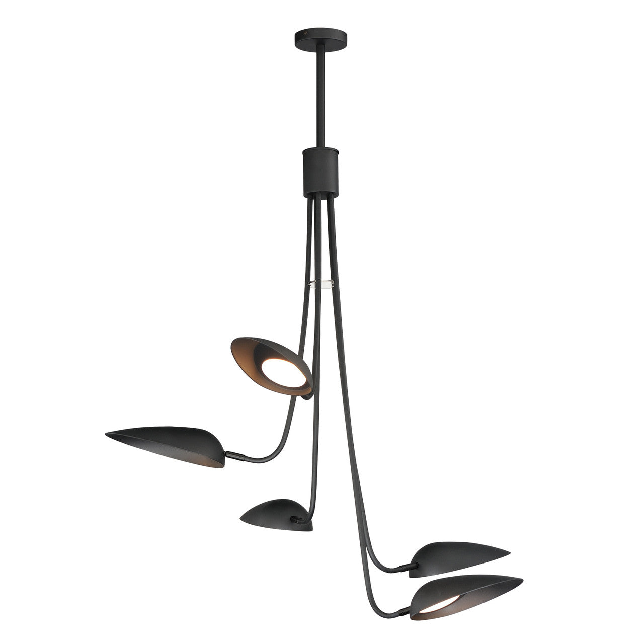 ET2 Contemporary Lighting Marsh 5-Light LED Pendant in Black E24095-BK