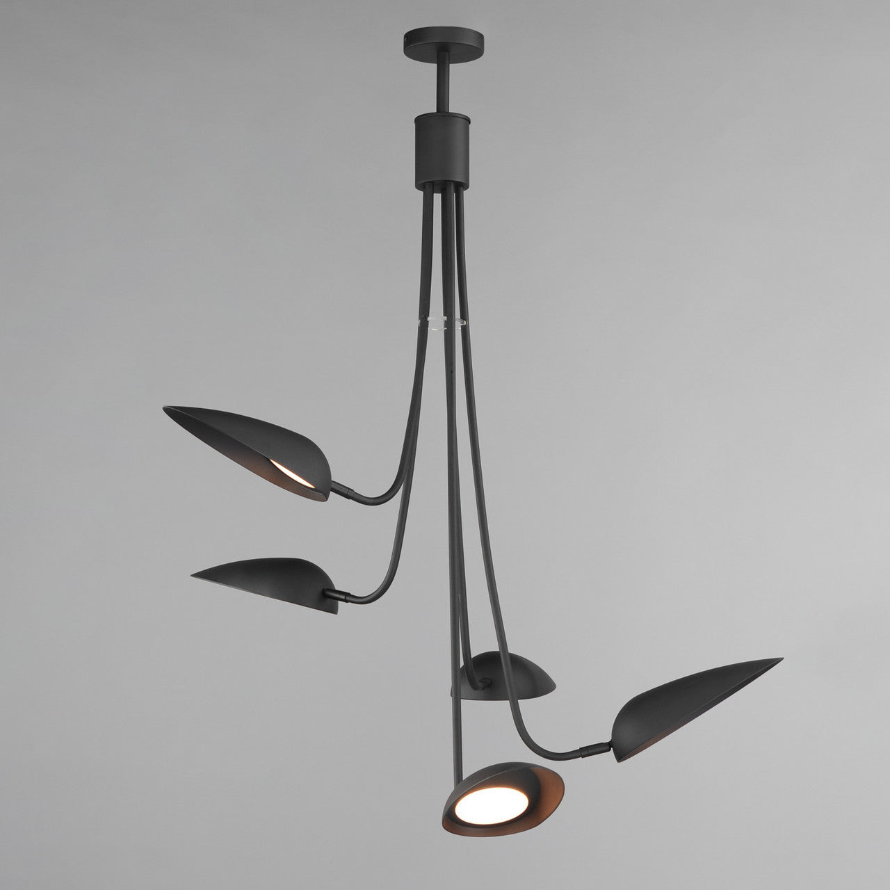 ET2 Contemporary Lighting Marsh 5-Light LED Pendant in Black E24095-BK