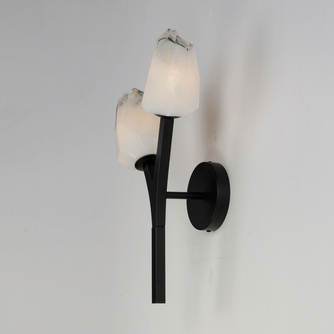 ET2 Contemporary Lighting Blossom 2-Light LED Wall Sconce in Black E32792-93BK