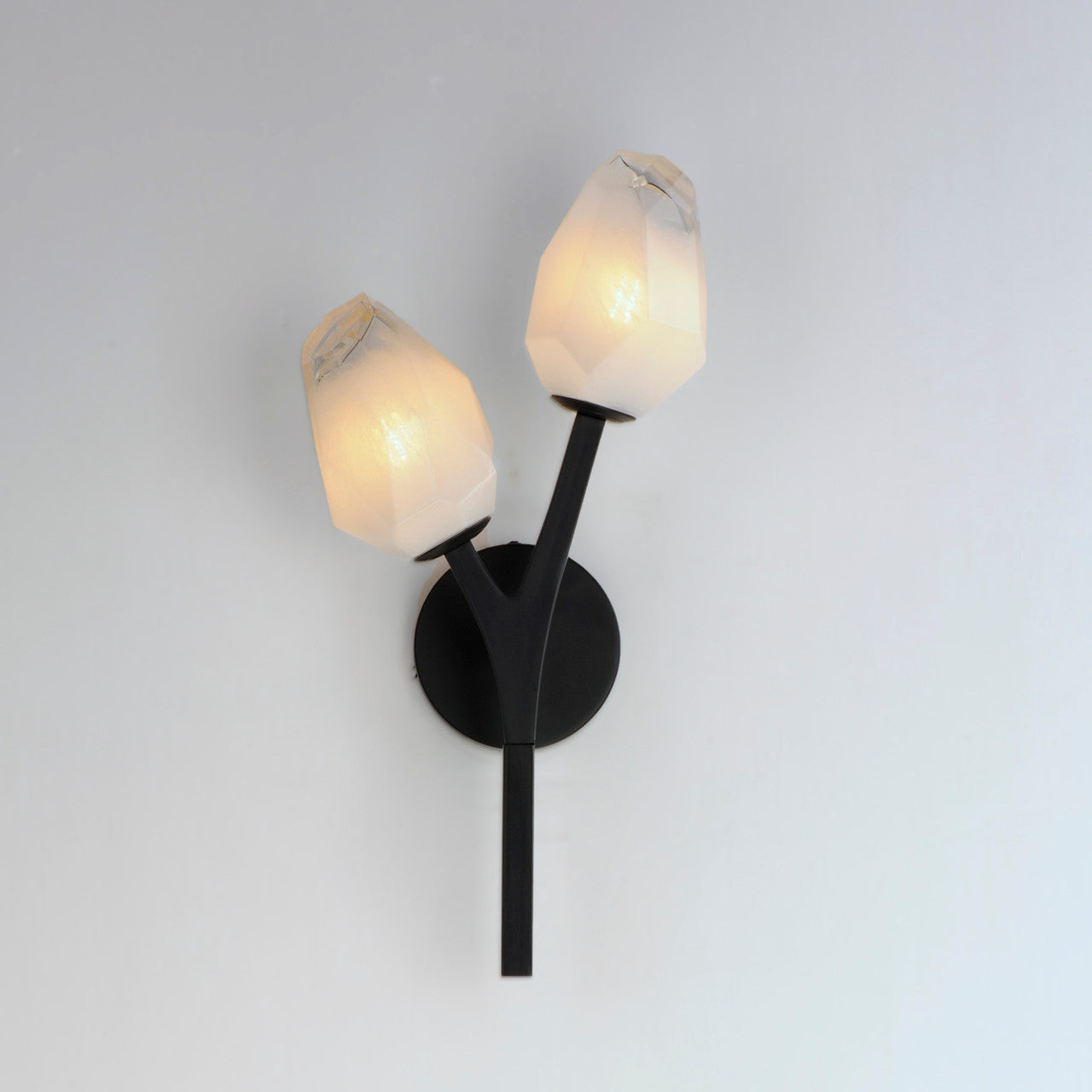 ET2 Contemporary Lighting Blossom 2-Light LED Wall Sconce in Black E32792-93BK