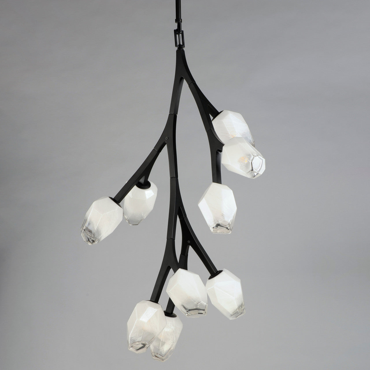 ET2 Contemporary Lighting Blossom 10-Light LED Pendant in Black E32798-93BK