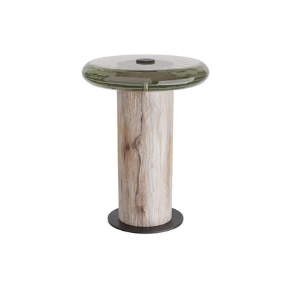 Arteriors Home Buckley Accent Table FAI11