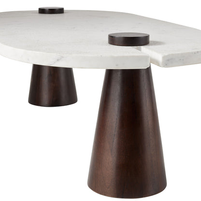 Arteriors Home Delaney Coffee Table FCI13