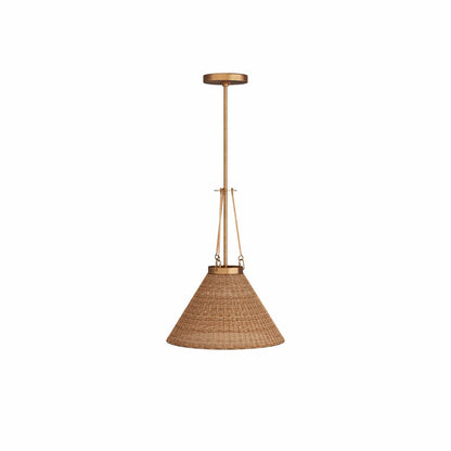 Arteriors Home Sedge Pendant GCDPI01