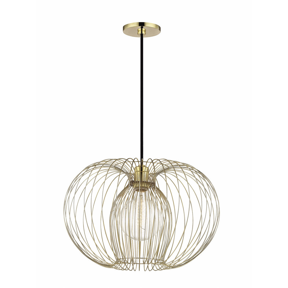 Mitzi 1 Light Pendant in Polished Brass H181701L-PB