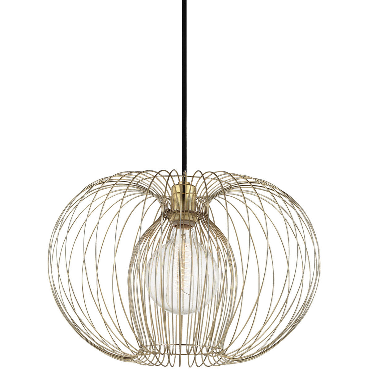 Mitzi 1 Light Pendant in Polished Brass H181701L-PB