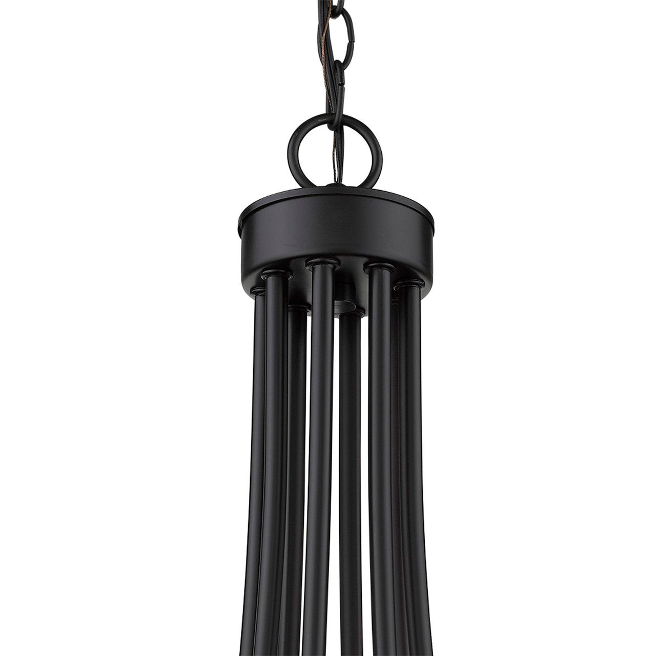 Acclaim Lighting Sawyer 8-Light Matte Black Chandelier in Matte Black IN11151BK