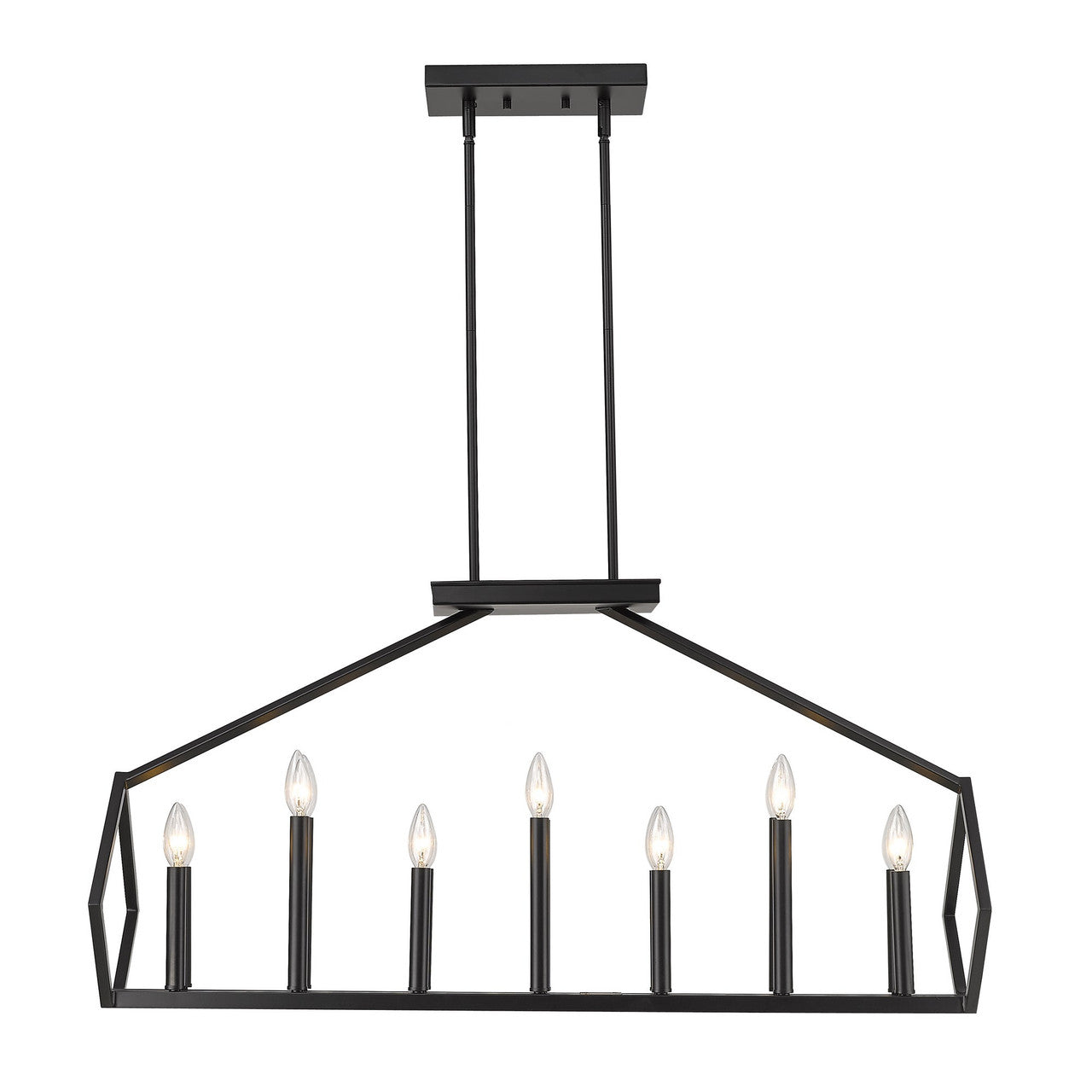 Acclaim Lighting Luca 14-Light Matte Black Island Pendant in Matte Black IN20010BK