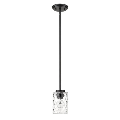 Acclaim Lighting Livvy 1-Light Matte Black Pendant in Matte Black IN20014BK