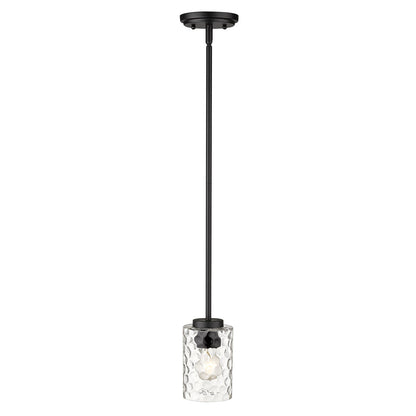 Acclaim Lighting Livvy 1-Light Matte Black Pendant in Matte Black IN20014BK