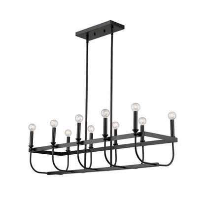 Acclaim Lighting Beckett 10-Light Matte Black Island Pendant in Matte Black IN20031BK