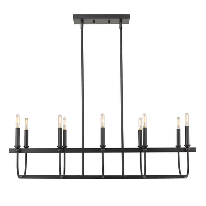 Acclaim Lighting Beckett 10-Light Matte Black Island Pendant in Matte Black IN20031BK