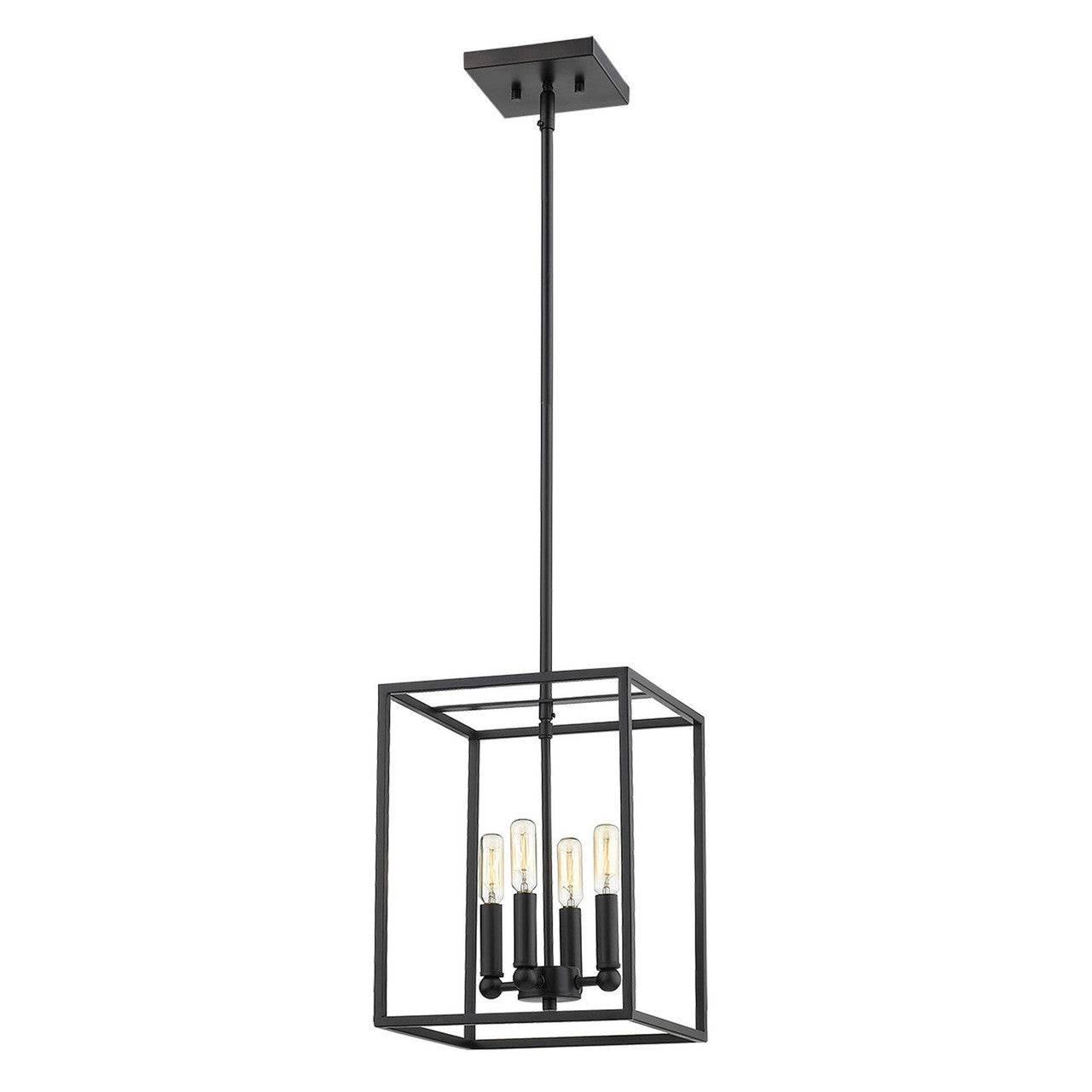 Acclaim Lighting Cobar 4-Light Matte Black Pendant in Matte Black IN21001BK