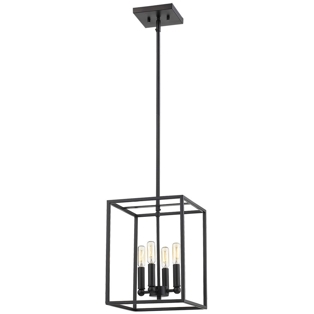 Acclaim Lighting Cobar 4-Light Matte Black Pendant in Matte Black IN21001BK